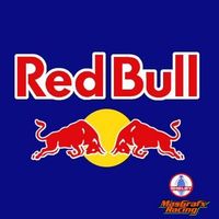 Gruppenavatar von RedBull Fan-Club