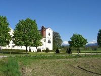 Das Bier zum Salzkammer gut