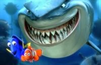 Gruppenavatar von !!!Stoppt den Walfang findet Nemo!!!