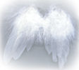 Gruppenavatar von takE Your WinGS anD fLy AwAy