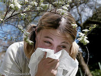 Gruppenavatar von ****AlLeRGiE- GeScHwIsTeR****