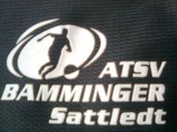 Gruppenavatar von ATSV Sattledt U18