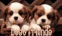 °~° bEST frIeNds 4-ever°~°