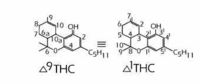 Tetra Hydro Cannabinol.