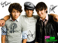 The Jonas Brothers are the best