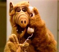 Kate: "ALF, du arbeitest?" - ALF: "Ich versuche zu arbeiten. Das ist viel anstrengender."