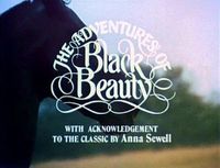 DIE ABENTEUER VON BLACK BEAUTY