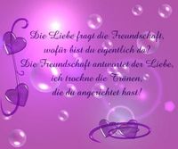 Die Liebe und die Freundschaft