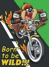 Born.....to be WILD !!!!!