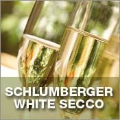 Schlumberger white secco