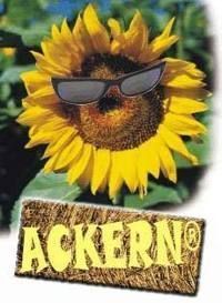 Ackern