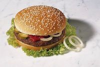 hamburger oder diet......ich entscheide mich für den hamburger=)