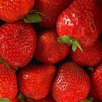 Strawberry × Erdbeere × Fragola × Ichigo