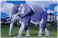 Gruppenavatar von Huldigt dem Milka-Elefanten!