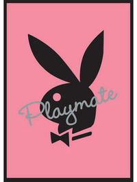 *°~PLAYBOY~°*