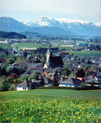 Waldfest Straßwalchen@Straßwalchen