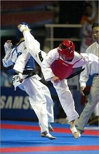 Taekwondo