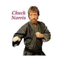 Chuck Norris schwitzt nicht beim kacken ------> Die Kacke schwitzt beim Chuck Norrisen