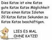 Dies Katze ist eine gute  Katze Möglichkeit Katze einen Katze Idioten 20 Katzte Sekunden Katze zu Katze beschäftigen