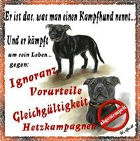 Kampfhund-Liebhaber