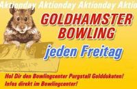 Goldhamster Bowling