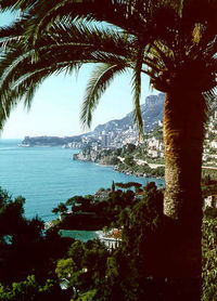 3 AH-->Cannes<---trés bien