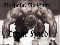 No Pain-No Gain