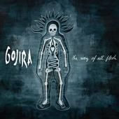 GOJIRA