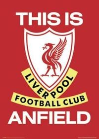 Gruppenavatar von FC Liverpool - "Nur" Vize-Meister der Saison 2008/2009