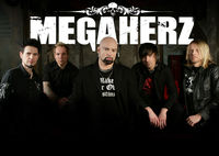 Heuchler Tour 2008 Megaherz