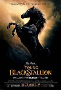 Gruppenavatar von THE BLACK STALLION – THE BEGINNING