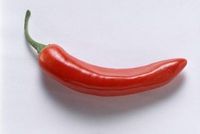 Gruppenavatar von Don´t eat chili, be the chili