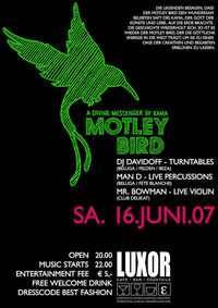 Motley Bird Party@Luxor