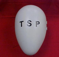 TSP (TRAGWEINER SCHÜLER PATEI) (Spizenkandidat Thomas Binder