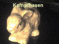 Gruppenavatar von Kampf-Hasen-Stammtisch