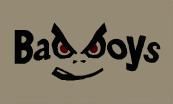 Gruppenavatar von Bad Boys Sarleinsbach