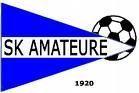 SK AMATEURE STEYR IS THE BEST