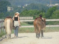 Das ist die- wenn ich einen Tag ned auf die Ranch und zu den Pferden kann, werde ich unausstehlich -Gruppe!!