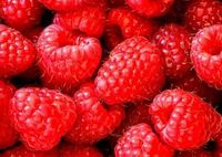 Gruppenavatar von ....mmmmh......Himbeeren......mmmmh