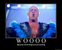 To be the man you have to beat the man (ric flair)