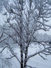 Gruppenavatar von *Schnee ist geiler als regen*