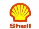 Gruppenavatar von Monday Night Shell