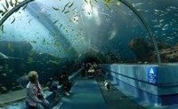 Aquarium@OST Klub