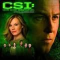 Ich liebe CSI - Las Vegas - Den Tätern auf der Spur