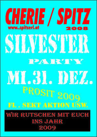 Silvester Party 