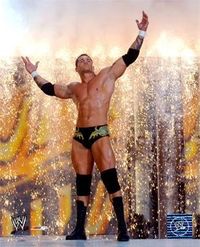 randy orton is the best in the WWE