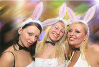 Bunny Night@Bienenstich