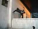 Parkour Eferding