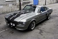 "1967er Ford Mustang Shelby Eleanor Fangroup