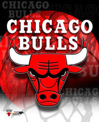 Chicago Bulls 